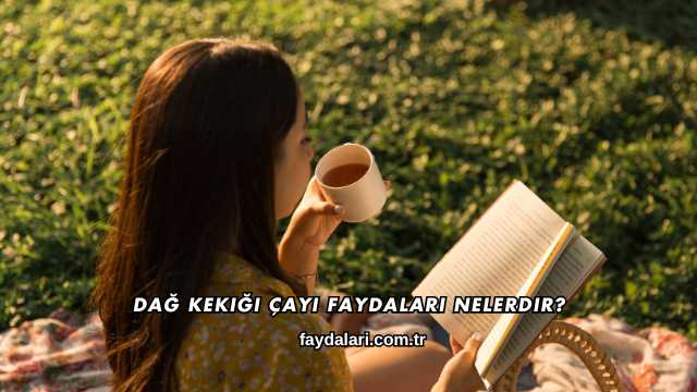 Dağ Kekiği Çayı Faydaları Nelerdir?