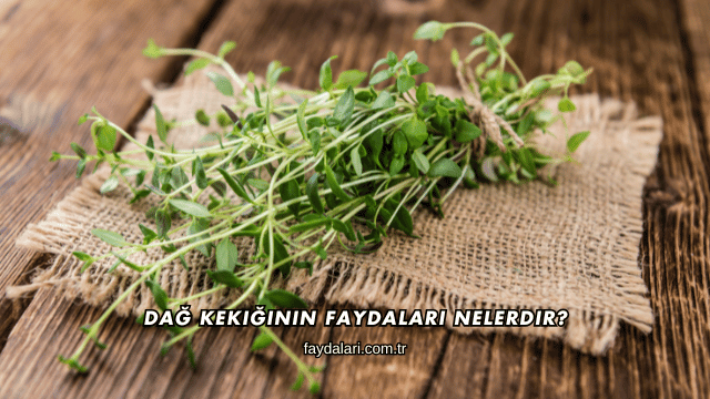 Dağ Kekiğinin Faydaları Nelerdir?