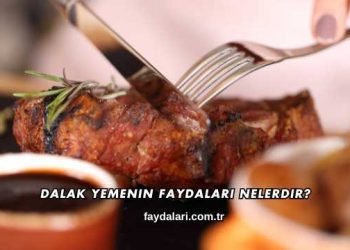 Dalak Yemenin Faydaları Nelerdir?