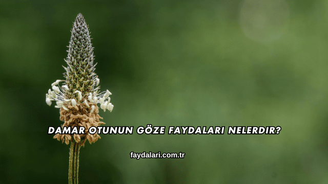 Damar Otunun Göze Faydaları Nelerdir?