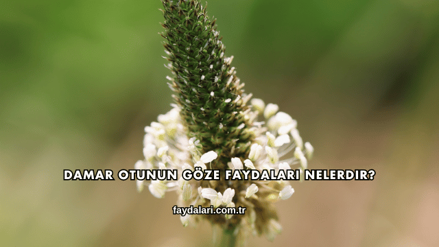 Damar Otunun Göze Faydaları Nelerdir?