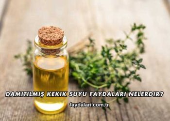 Damıtılmış Kekik Suyu Faydaları Nelerdir?