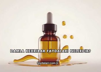Damla Kehribar Faydaları Nelerdir?