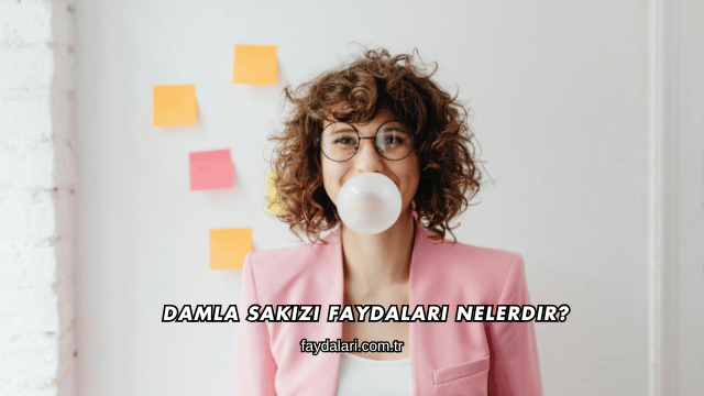 Damla Sakızı Faydaları Nelerdir?