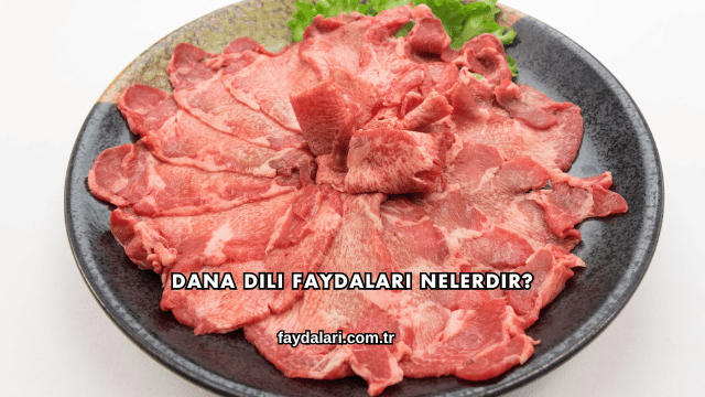 Dana Dili Faydaları Nelerdir?