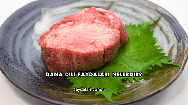 Dana Dili Faydaları Nelerdir?