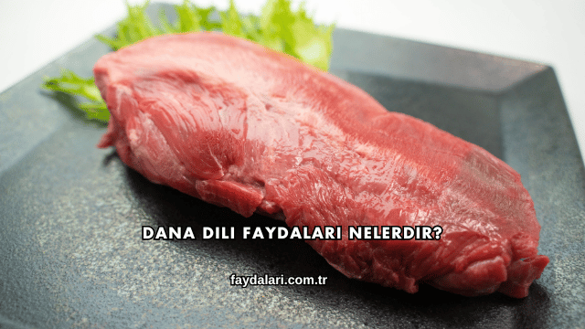 Dana Dili Faydaları Nelerdir?