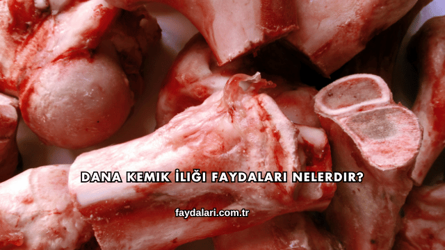 Dana Kemik İliği Faydaları Nelerdir?