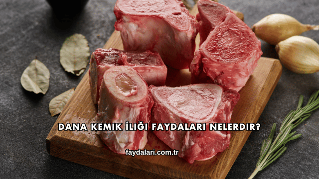 Dana Kemik İliği Faydaları Nelerdir?