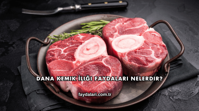 Dana Kemik İliği Faydaları Nelerdir?
