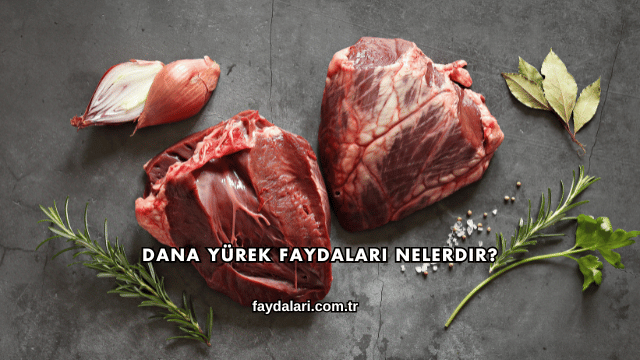 Dana Yürek Faydaları Nelerdir?