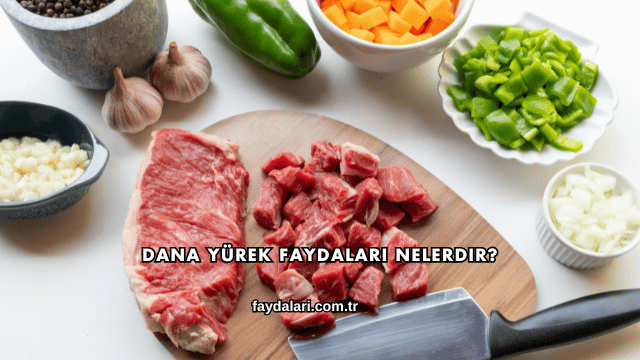 Dana Yürek Faydaları Nelerdir?