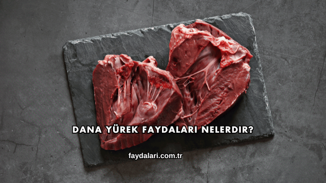 Dana Yürek Faydaları Nelerdir?