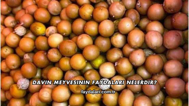Davin Meyvesinin Faydaları Nelerdir?
