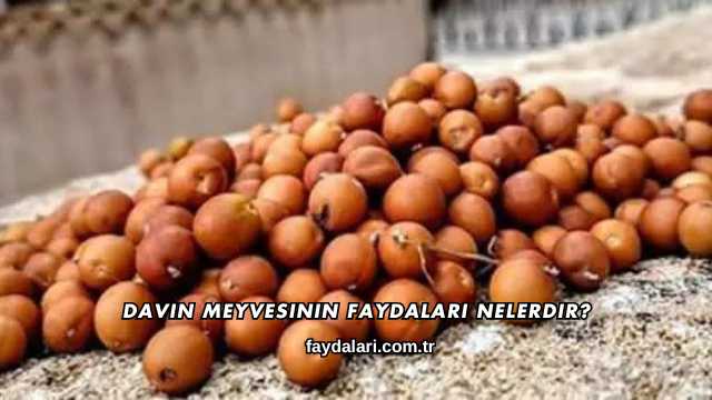 Davin Meyvesinin Faydaları Nelerdir?