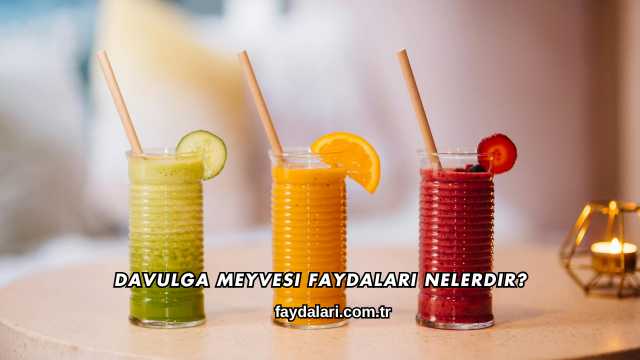 Davulga Meyvesi Faydaları Nelerdir?