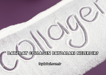 Day2day Collagen Faydaları Nelerdir?