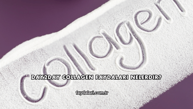 Day2day Collagen Faydaları Nelerdir?