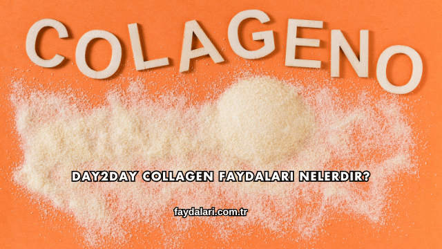Day2day Collagen Faydaları Nelerdir?
