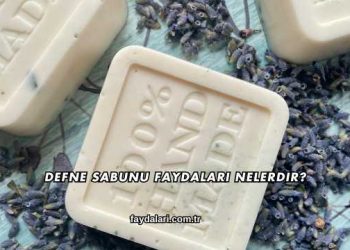 Defne Sabunu Faydaları Nelerdir?