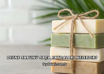 Defne Sabunu Saça Faydaları Nelerdir