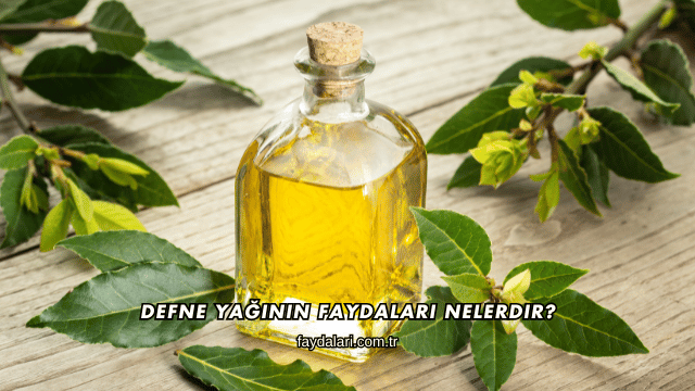 Defne Yağının Faydaları Nelerdir?