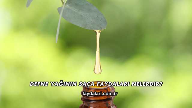 Defne Yağının Saça Faydaları Nelerdir?