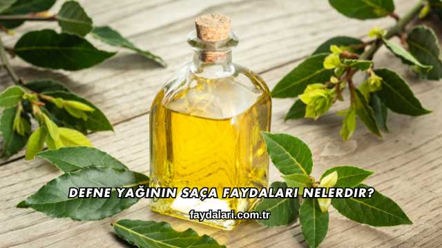 Defne Yağının Saça Faydaları Nelerdir?