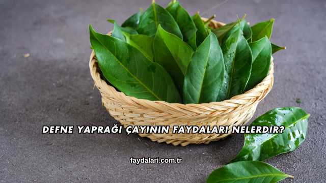 Defne Yaprağı Çayının Faydaları Nelerdir?