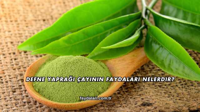 Defne Yaprağı Çayının Faydaları Nelerdir?