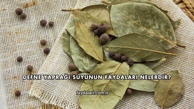 Defne Yaprağı Suyunun Faydaları Nelerdir?