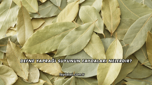 Defne Yaprağı Suyunun Faydaları Nelerdir?
