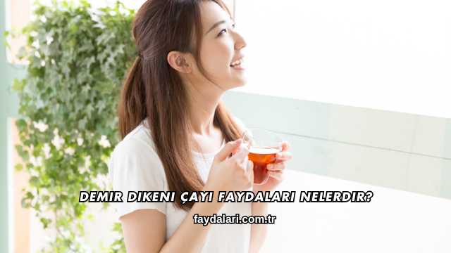 Demir Dikeni Çayı Faydaları Nelerdir?