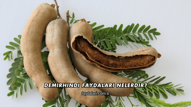 Demirhindi Faydaları Nelerdir?