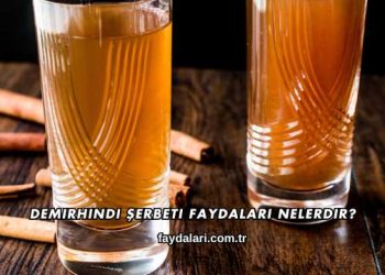 Demirhindi Şerbeti Faydaları Nelerdir?