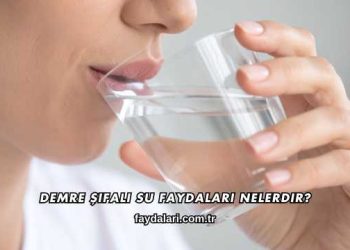 Demre Şifalı Su Faydaları Nelerdir?