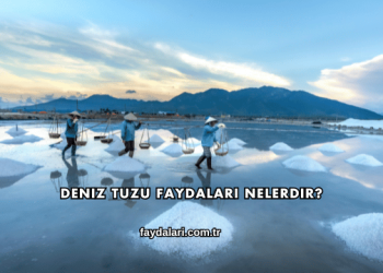 Deniz Tuzu Faydaları Nelerdir?