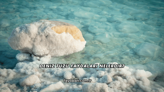 Deniz Tuzu Faydaları Nelerdir?