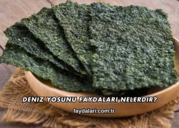 Deniz Yosunu Faydaları Nelerdir?