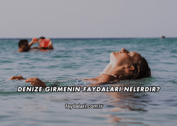Denize Girmenin Faydaları Nelerdir?