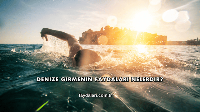 Denize Girmenin Faydaları Nelerdir?