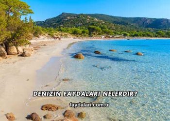 Denizin Faydaları Nelerdir?