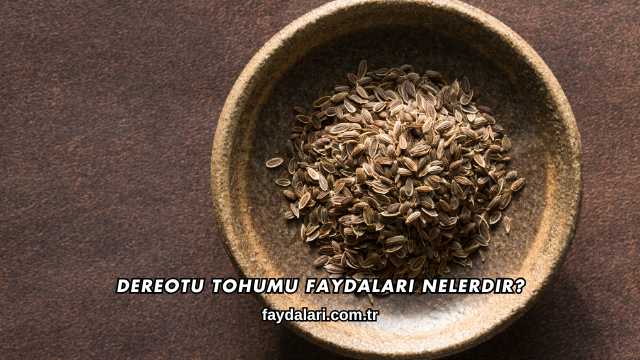 Dereotu Tohumu Faydaları Nelerdir?