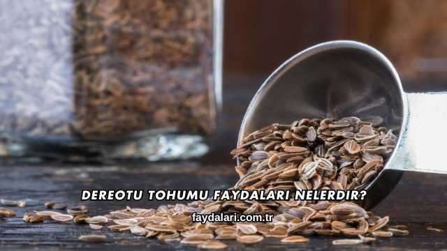 Dereotu Tohumu Faydaları Nelerdir?