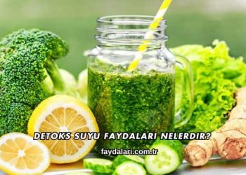 Detoks Suyu Faydaları Nelerdir?