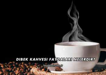 Dibek Kahvesi Faydaları Nelerdir?
