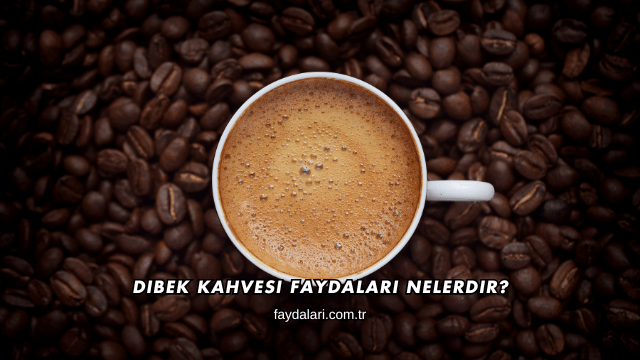 Dibek Kahvesi Faydaları Nelerdir?