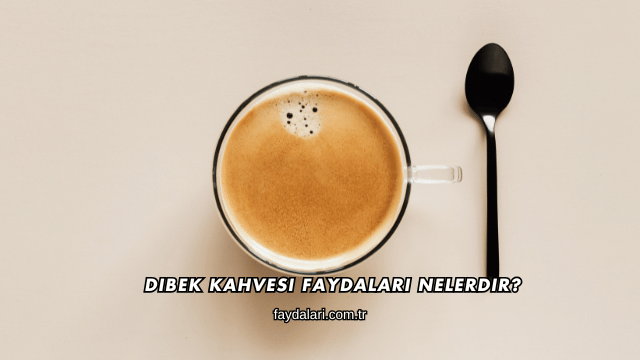 Dibek Kahvesi Faydaları Nelerdir?