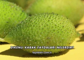 Dikenli Kabak Faydaları Nelerdir?