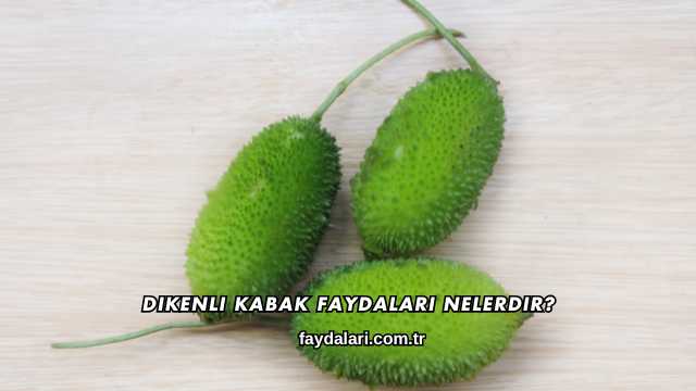 Dikenli Kabak Faydaları Nelerdir?